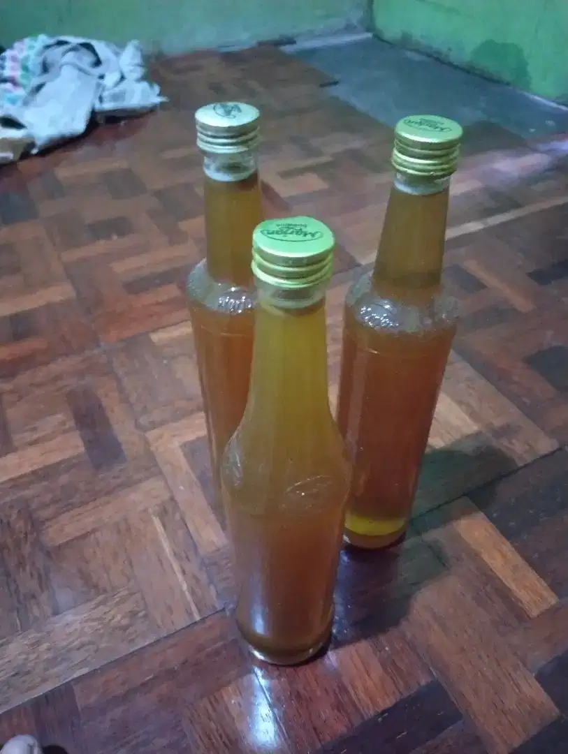 Madu hutan asli alami