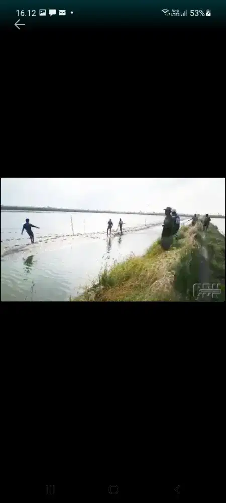 Jual tambak udang & bandeng di pematang pasir