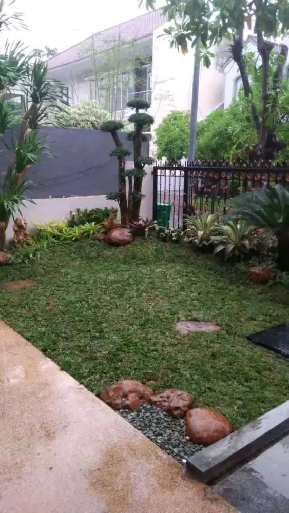 Tukang taman Tajurhalang bogor