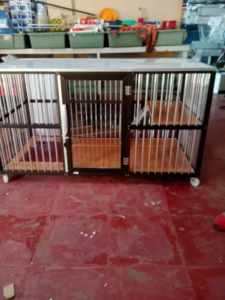 Kandang kucing Bekasi barat 4