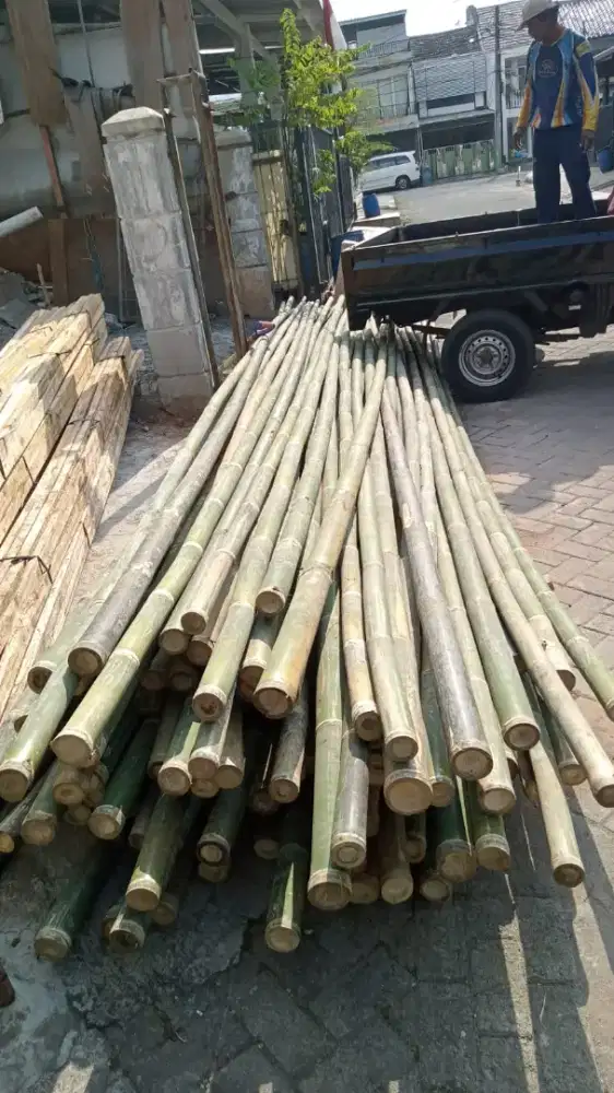 Jual bambu steger super