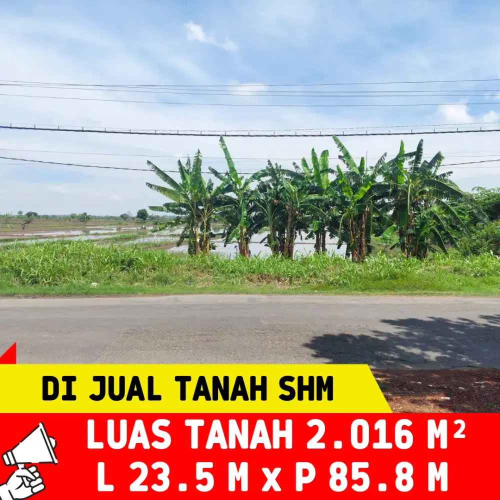 TANAH SUPER STRATEGIS NOL JALAN RAYA BALONGPANGGANG GRESIK