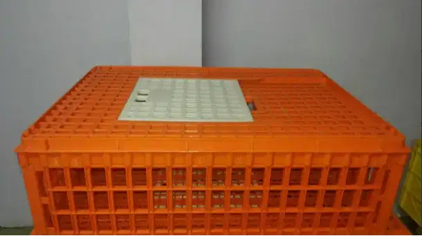 Keranjang Krat Plastik Peternak Ayam Rabbit