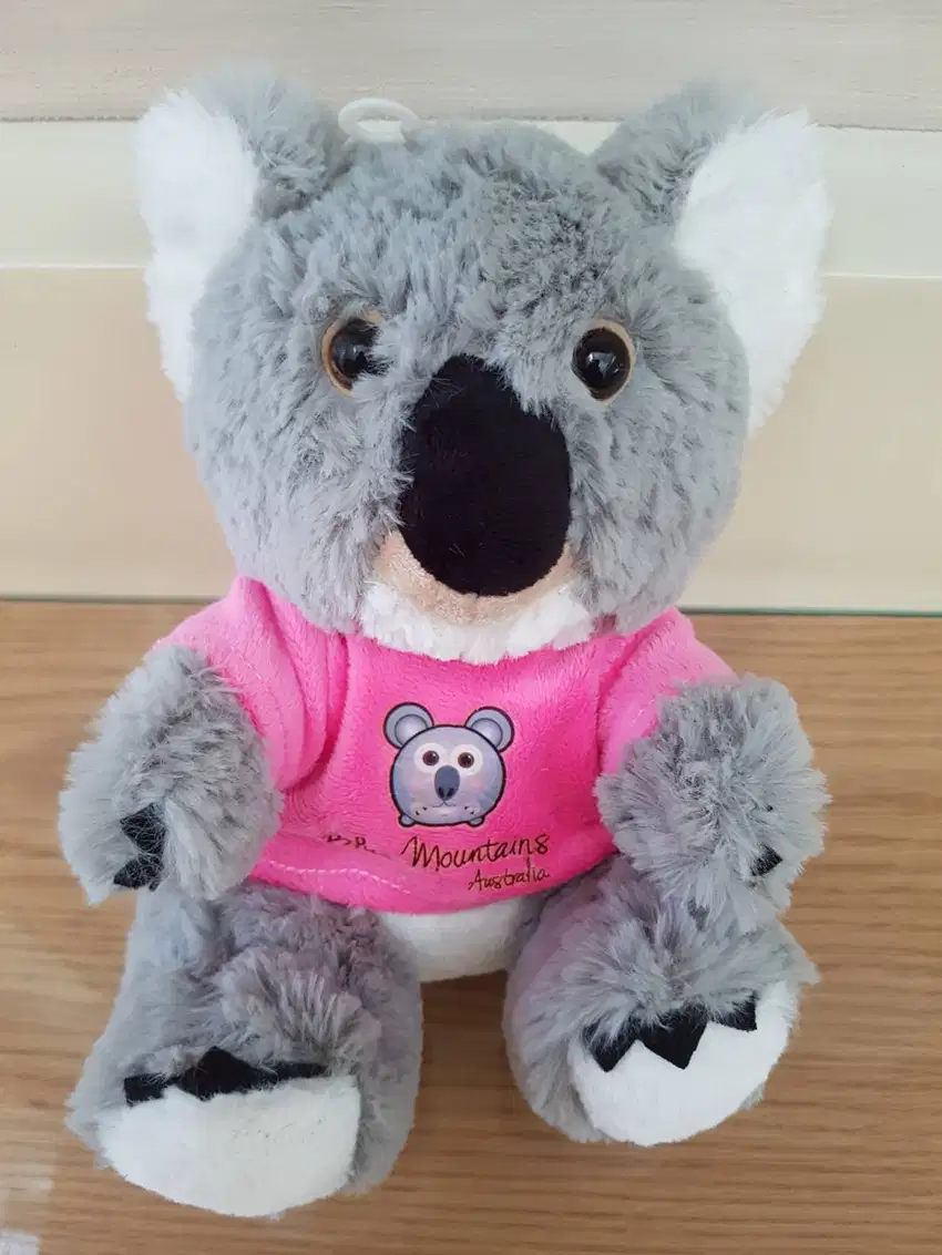 Boneka Koala ORIGINAL Blue Mountains Australia | Oleh-oleh Australia