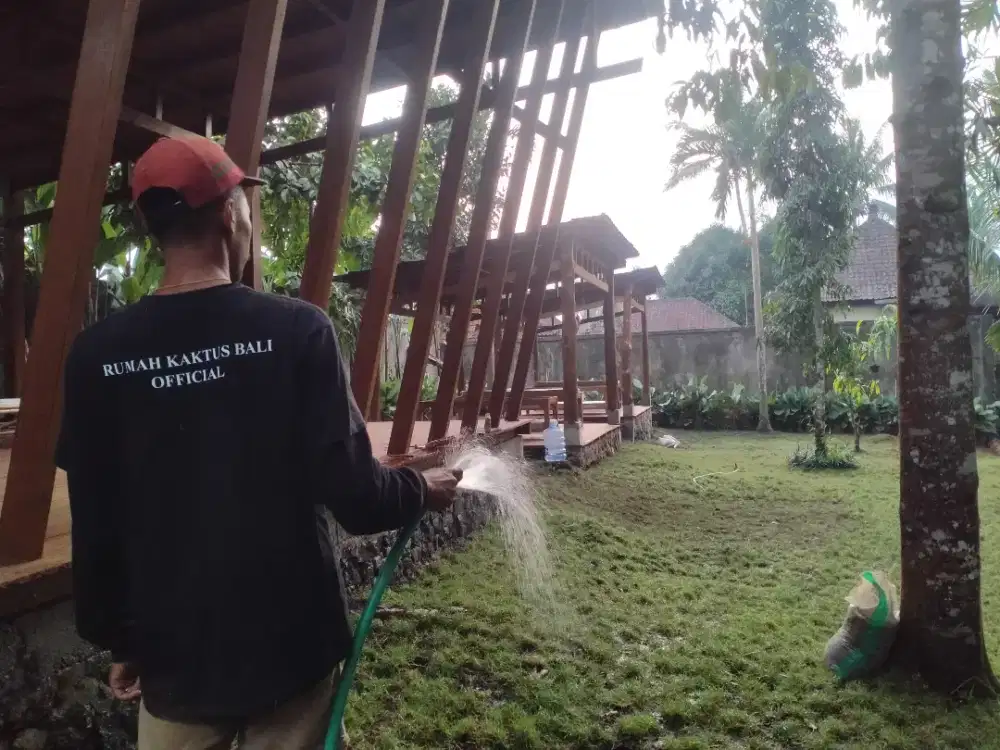 Jual Rumput,rumput jepang,rumput mutiara,gajah mini,rumput+pasang