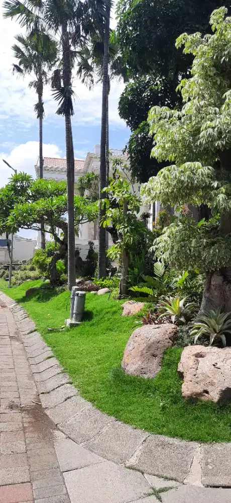 Jasa tukang taman