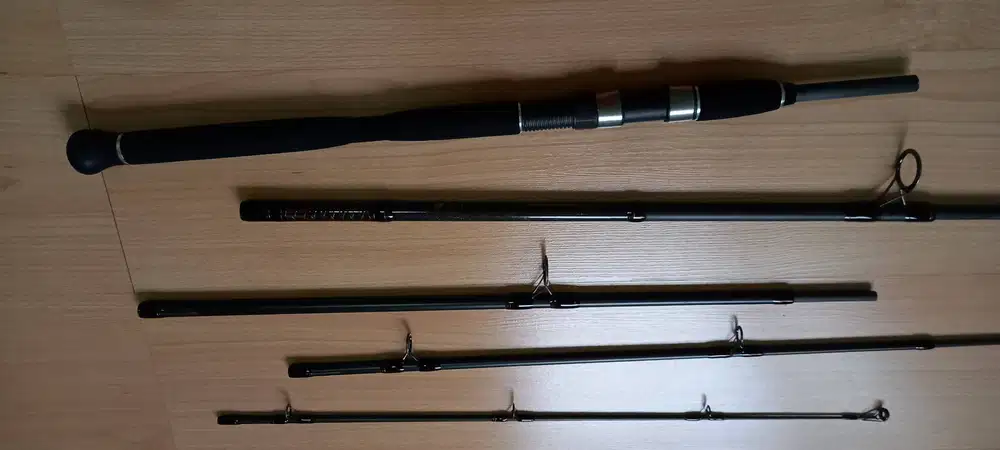 Joran / Power Rod Daiwa Megaforce Big Fish MFBF 295 XH