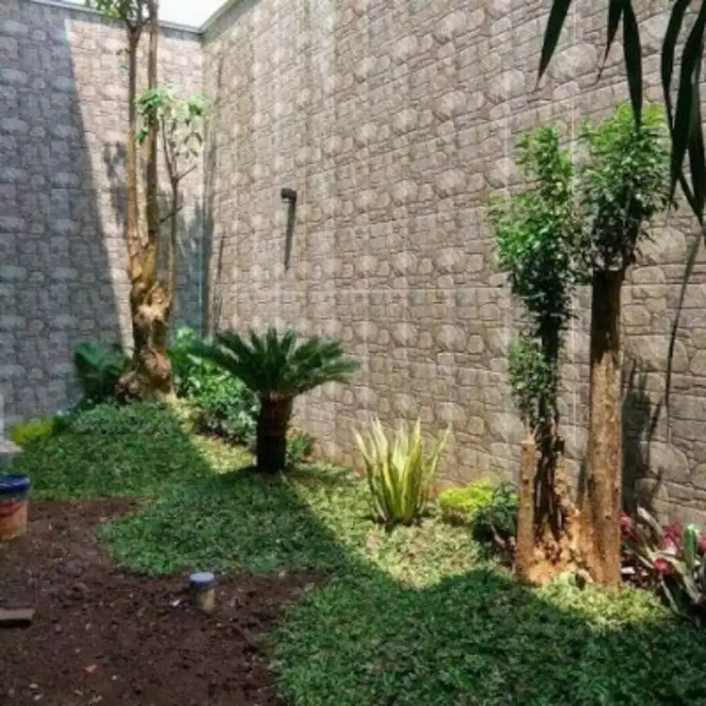 ampyangan,batu sikat, taman, kolam , Surabaya, Sidoarjo, Gresik