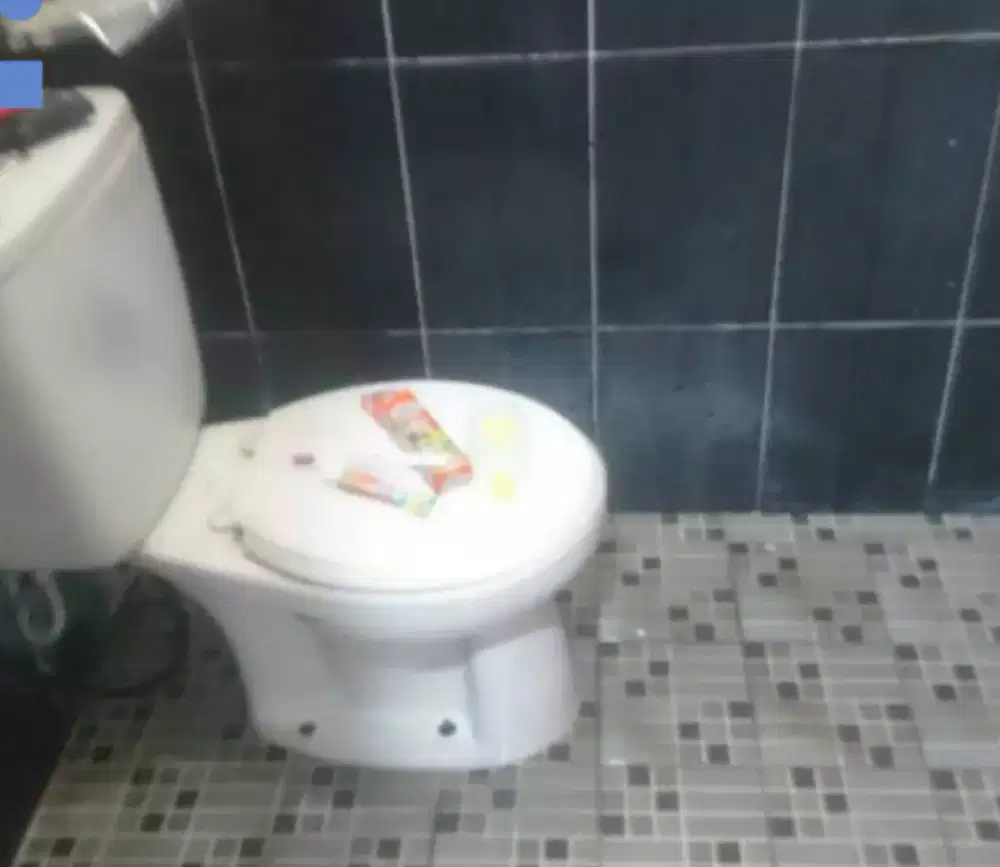 Kinclongi Kamar Mandi