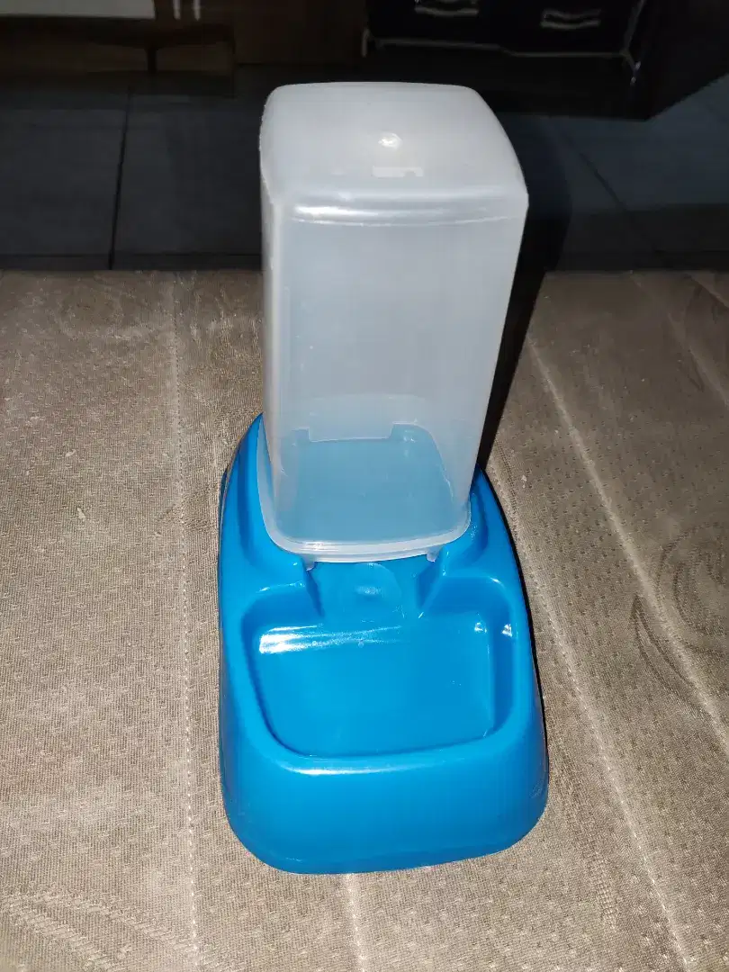 Tempat Makan Kucing