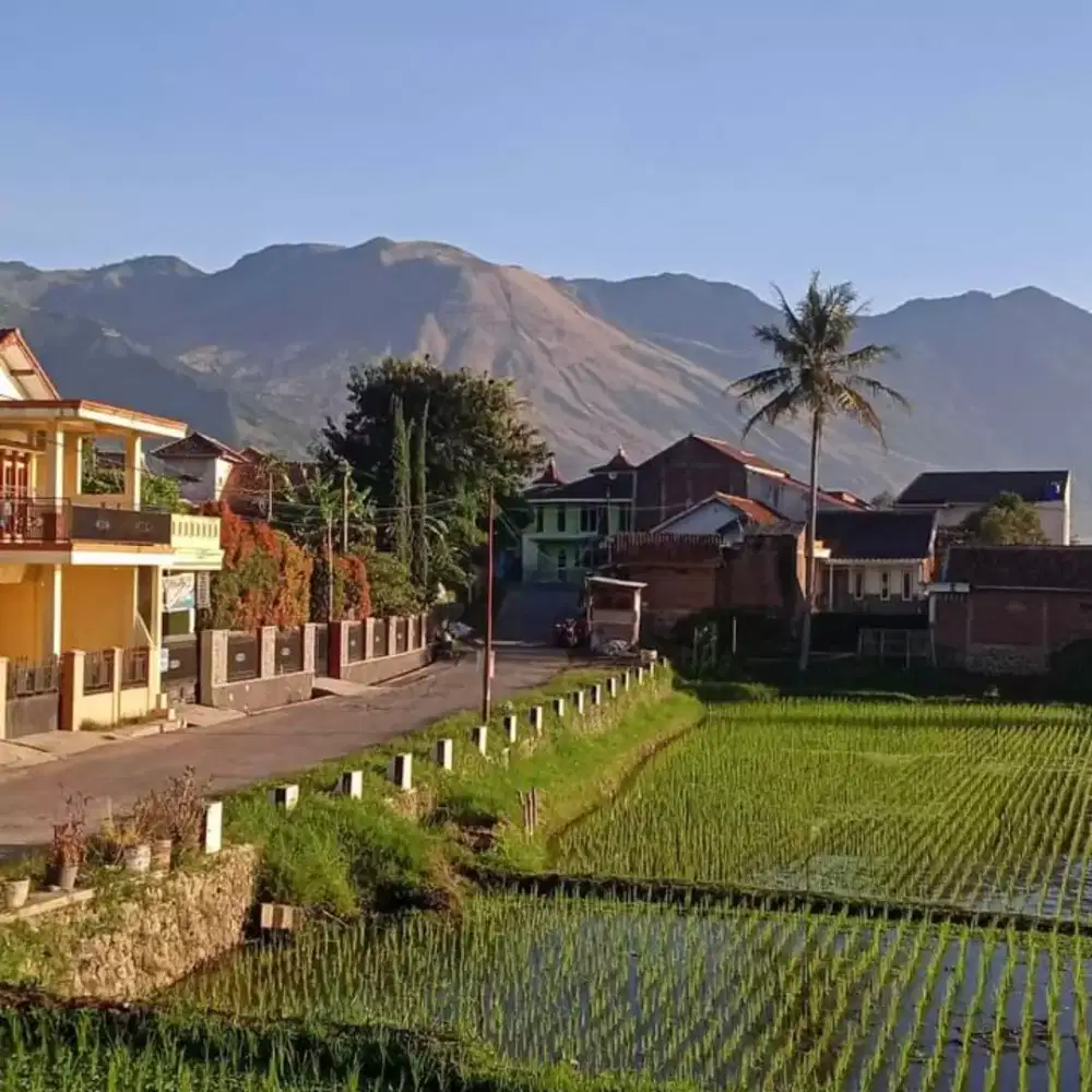 Cari kerjaan ijasah SMP pengalaman kerja office boy.