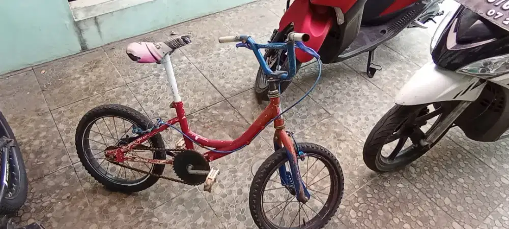 Sepeda Anak Ring 16