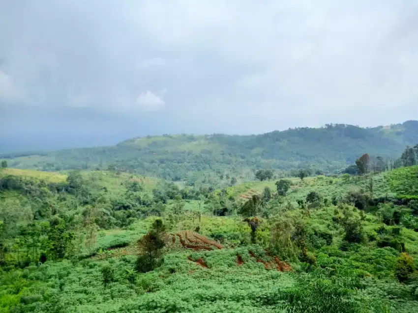 KEBUN SUBUR | View Gunung Tangkuban Parahu