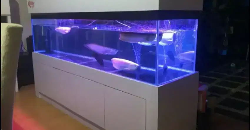 Aquarium & Cabinet Lengkap