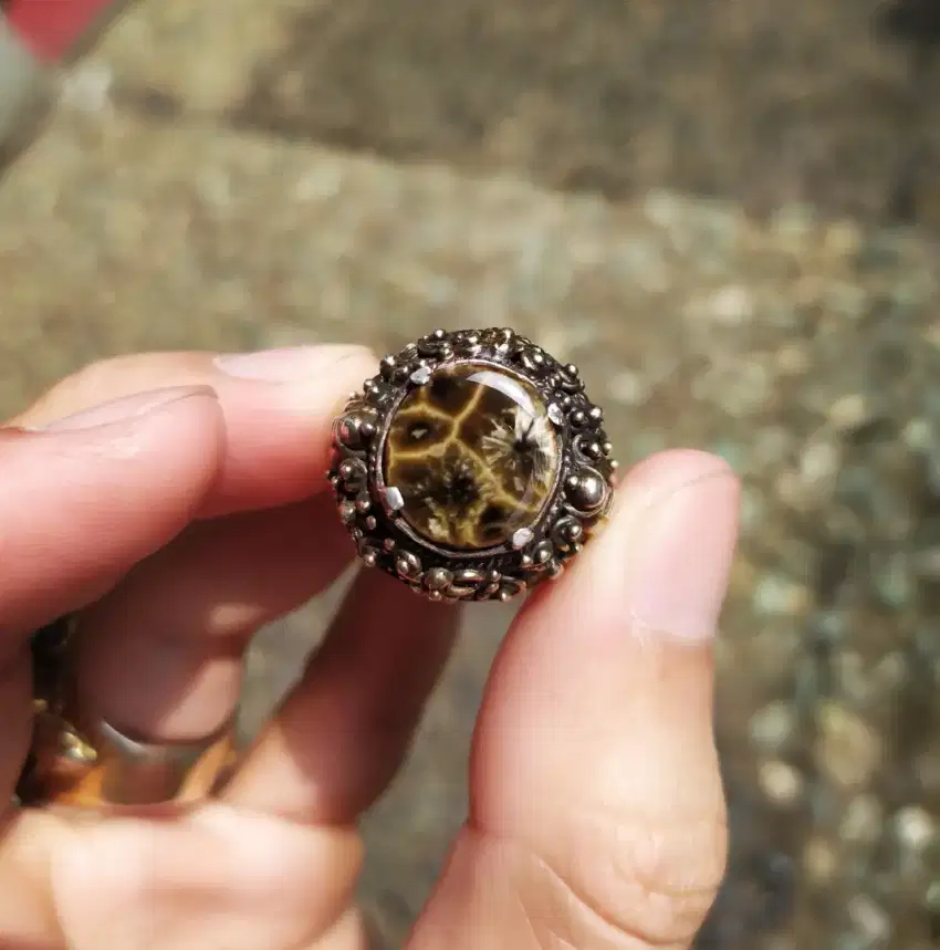 Bulu macan lumajang / basaltic / batu basaltic / basaltic tiger glass
