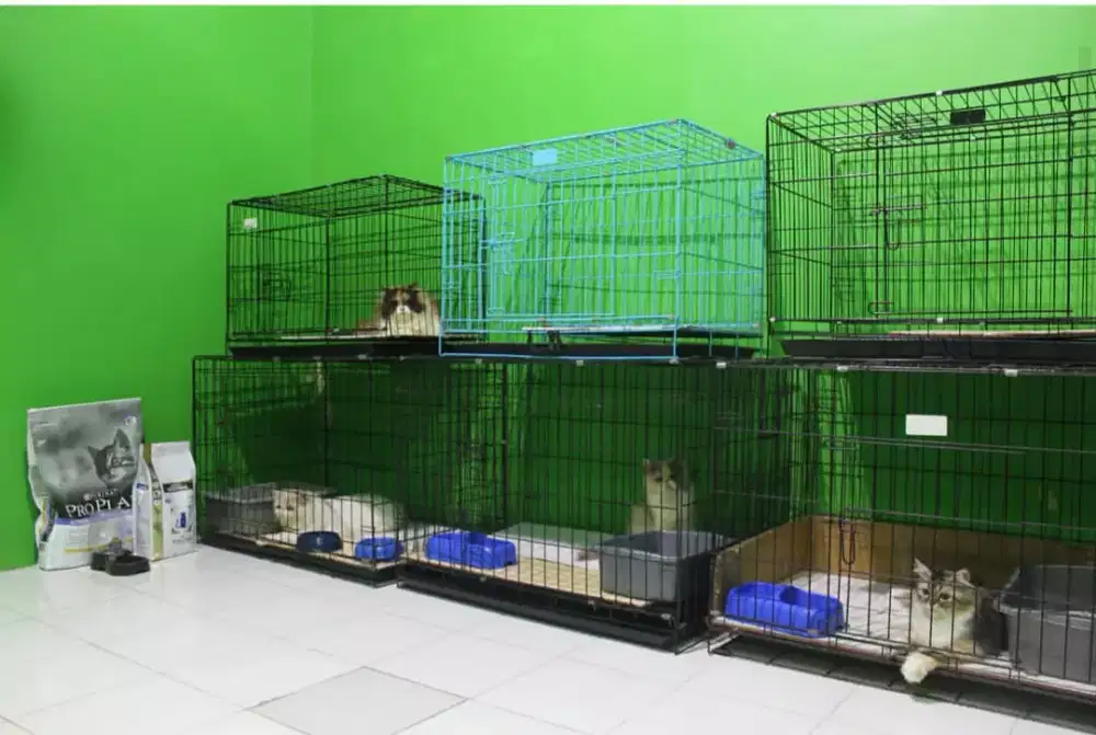 Penitipan kucing (cathouse)