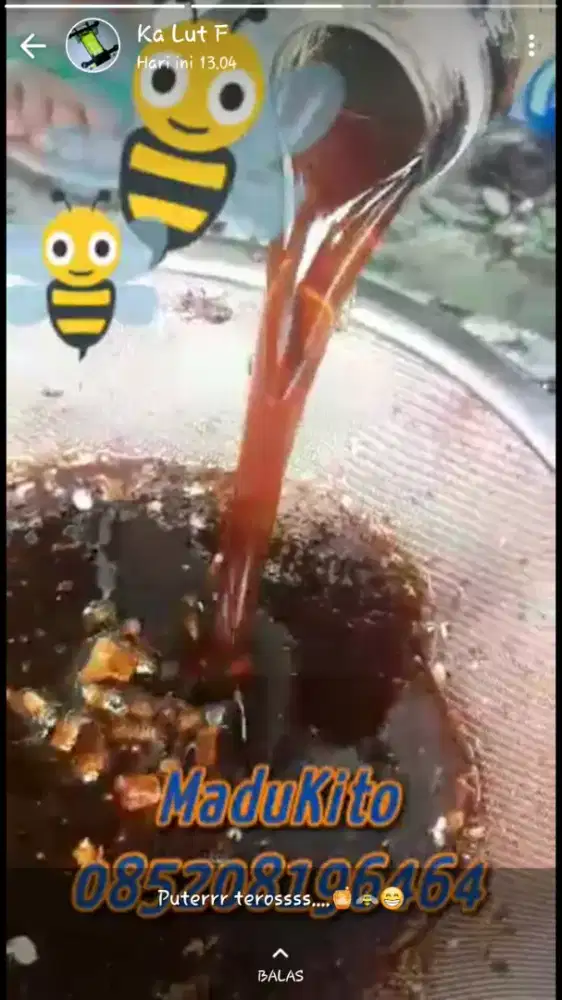 madu hutan murni/tanpa campuran/tanpa olahan.akasia carpa/crassicarpa