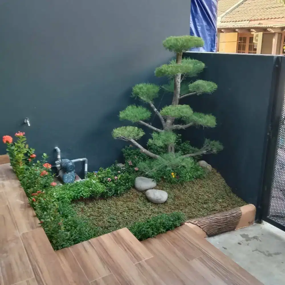 Pembuatan taman/ taman minimalis