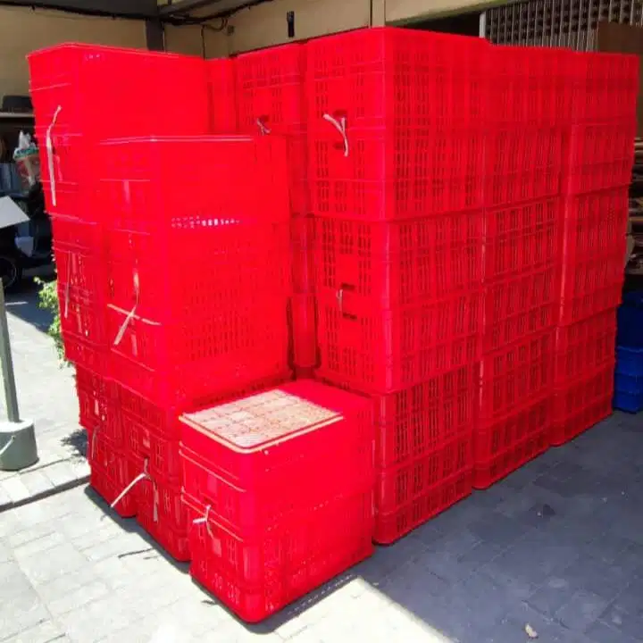 Krat Plastik Hasil Panen JNE JNT TIKI Lion Parcel POS