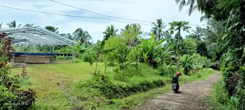 Dijual tanah kebun 14 kilometer dari kota Tabanan Bali