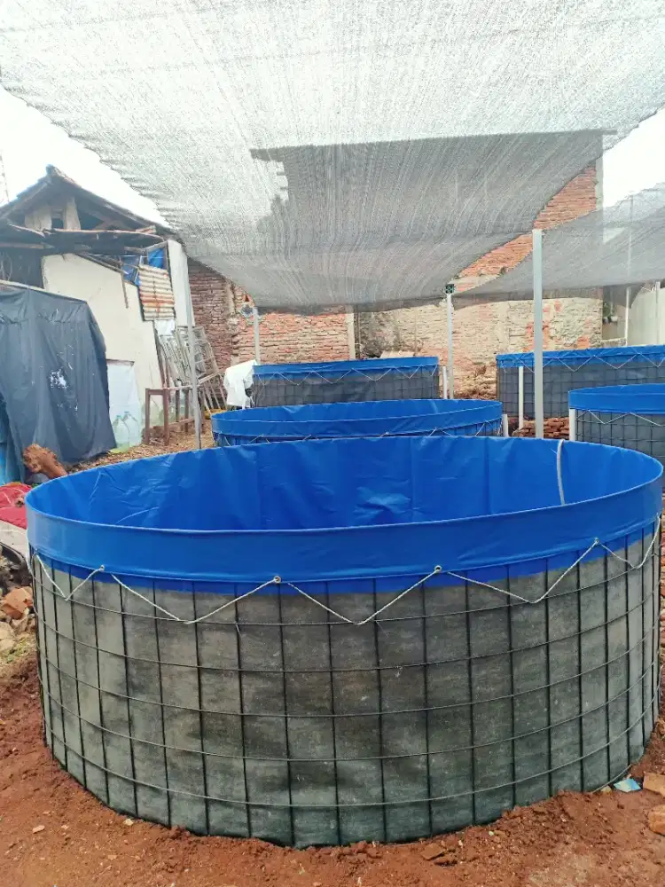 Terpal Bundar Bioflok Orchid