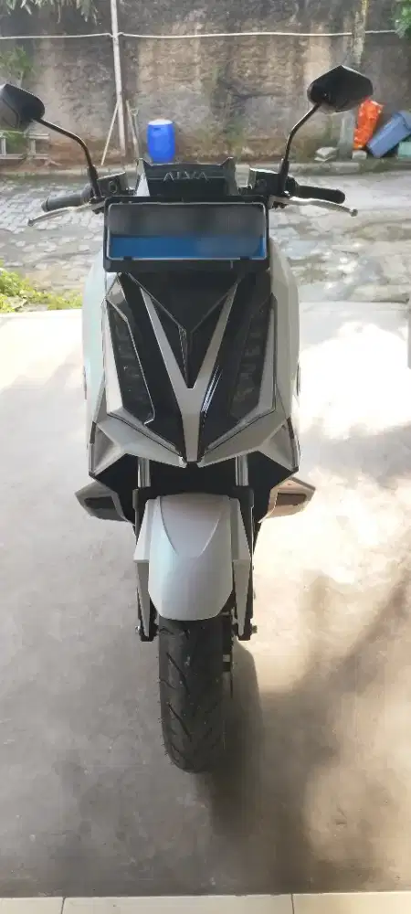 DIJUAL - MOLIS ALVA CERVO