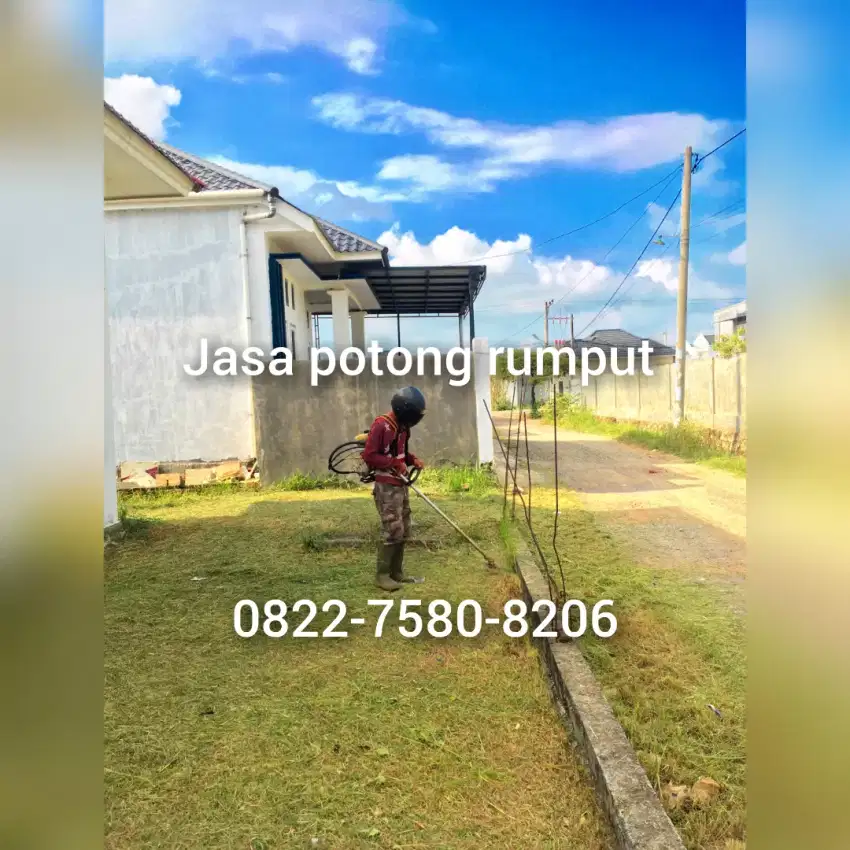 Jasa potong rumput