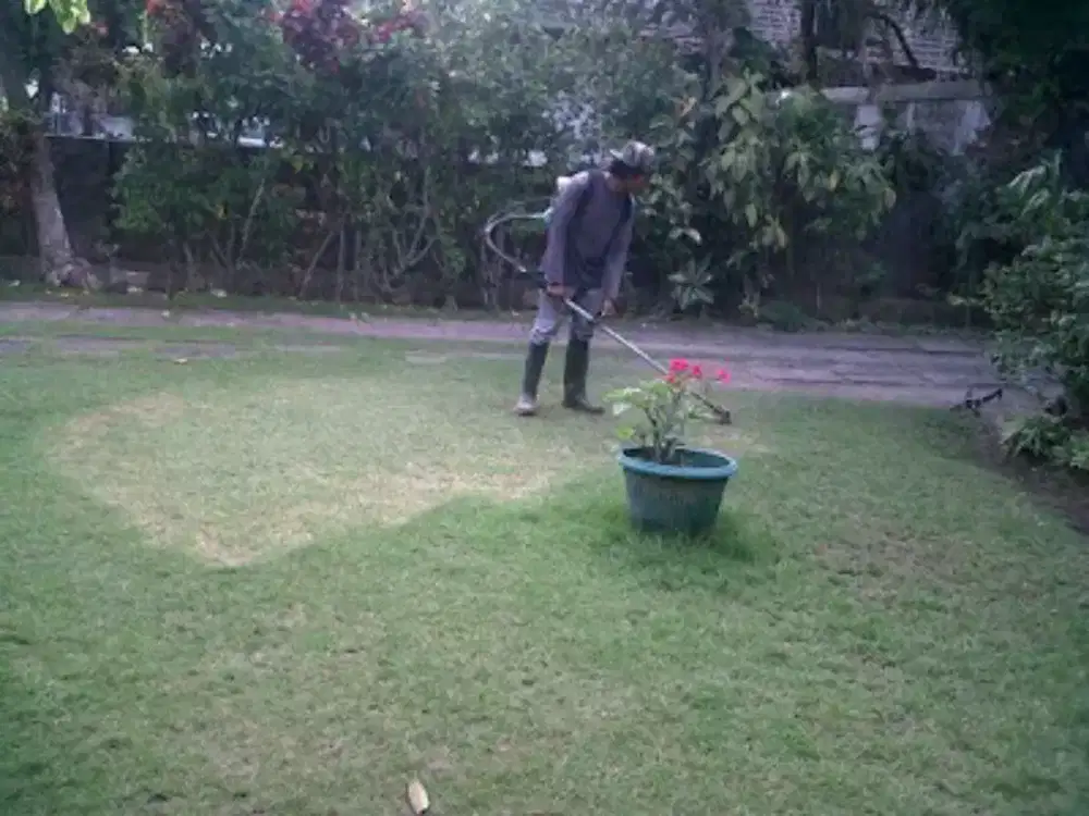 Tukang jasa potong rumput Jogja