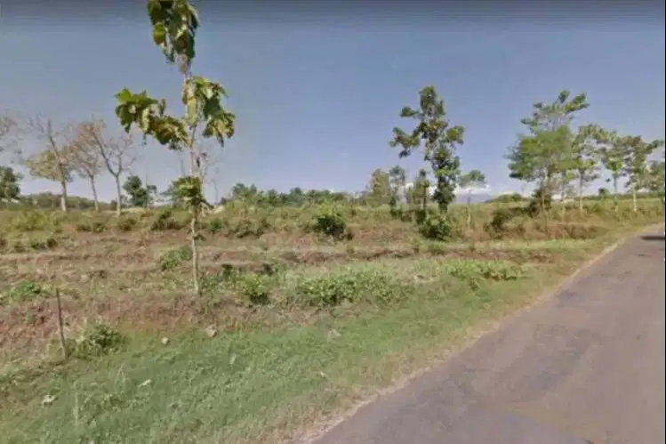 Tanah Sawah/Perkebunan Murah Kawasan Lumbang