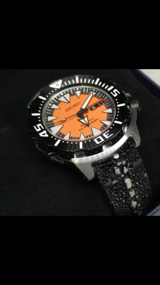 Starp Kulit Ikan Pari