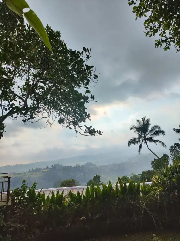 Tour bali 600k ready unit Terios 2023