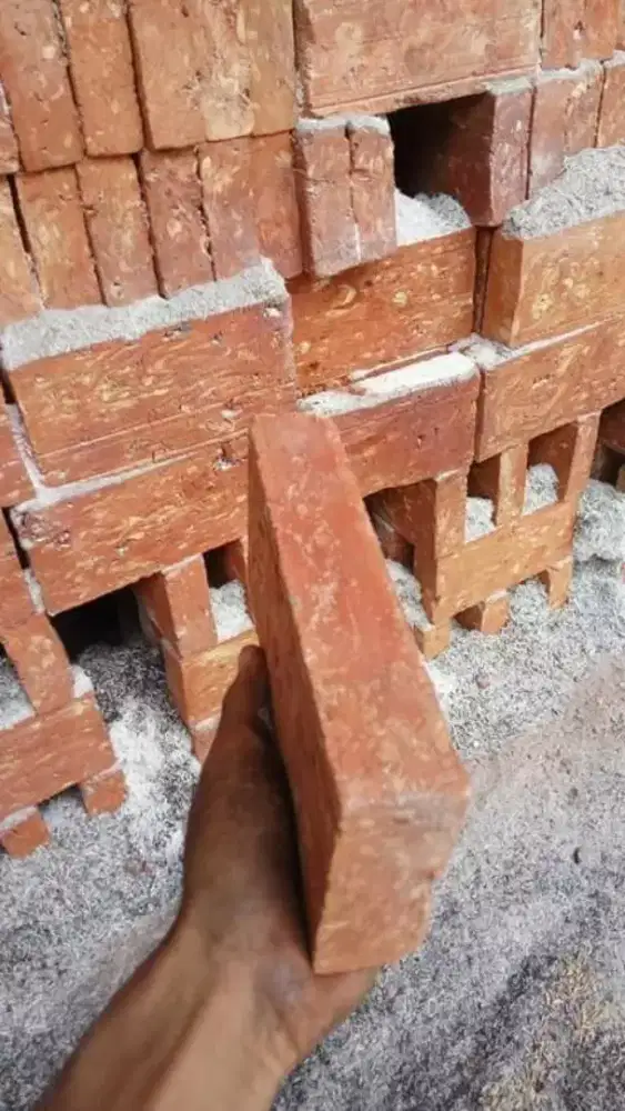 Bata merah pres gratis ongkir