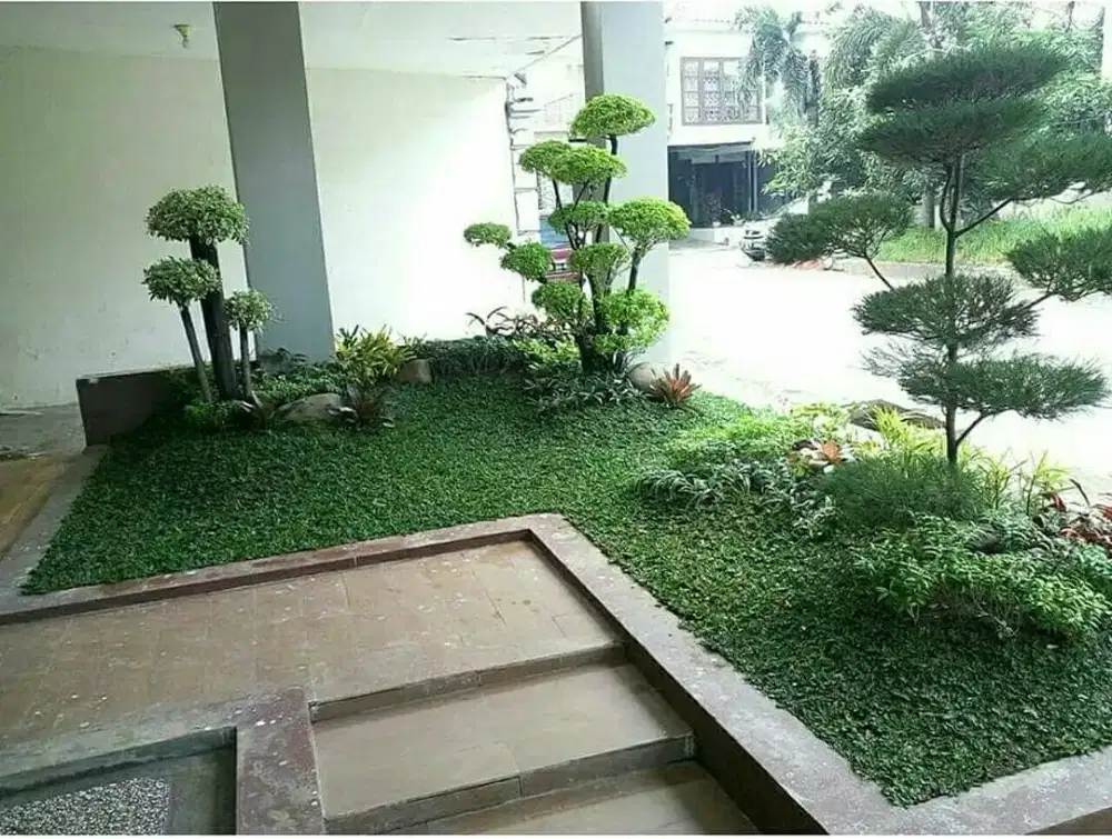Taman minimalis pembuatan taman ramah