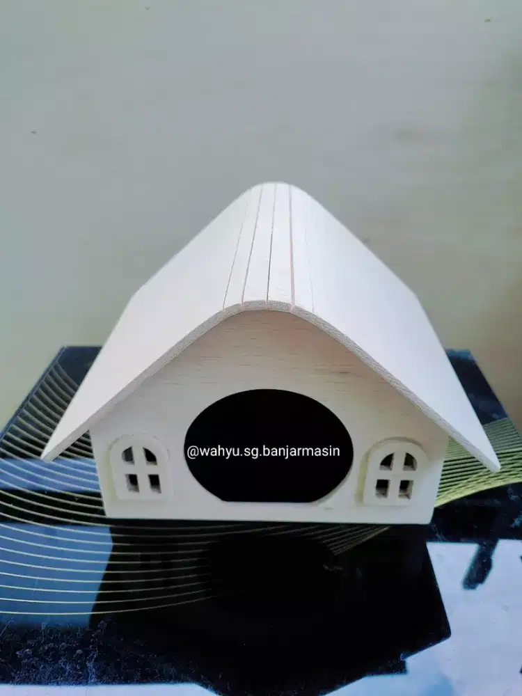 Rumah hamster sirian landak mini