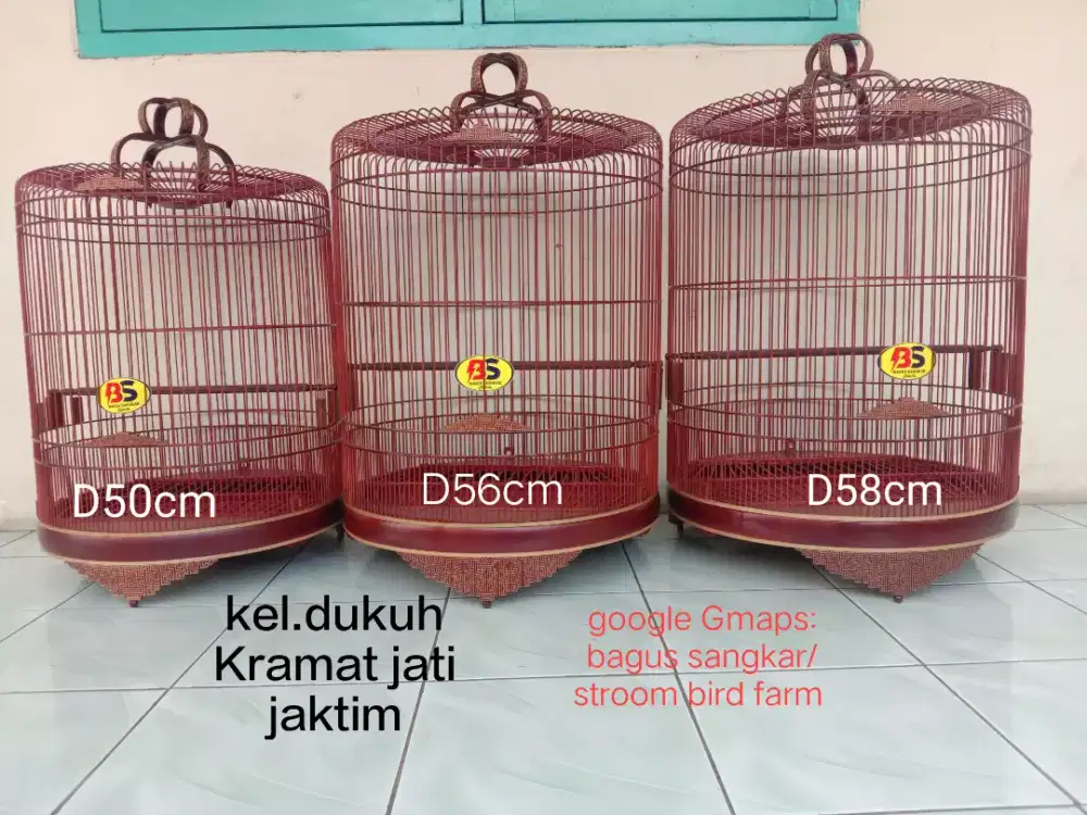 Sangkar murai cungkit soloan