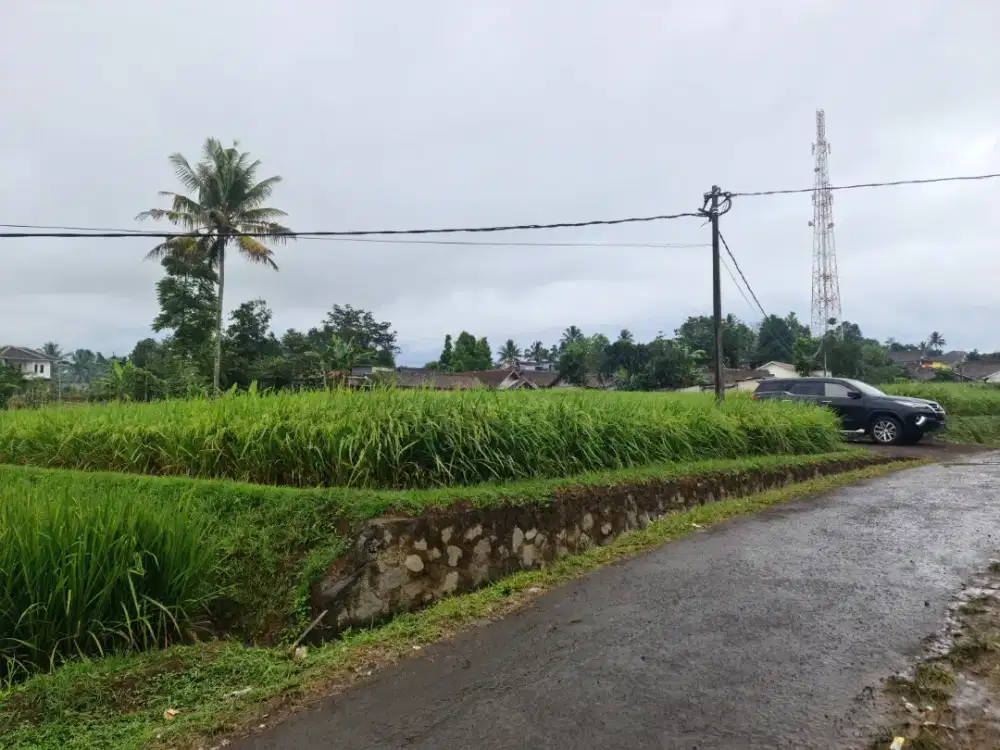 Jual Sawah produktif pinggir jalan desa