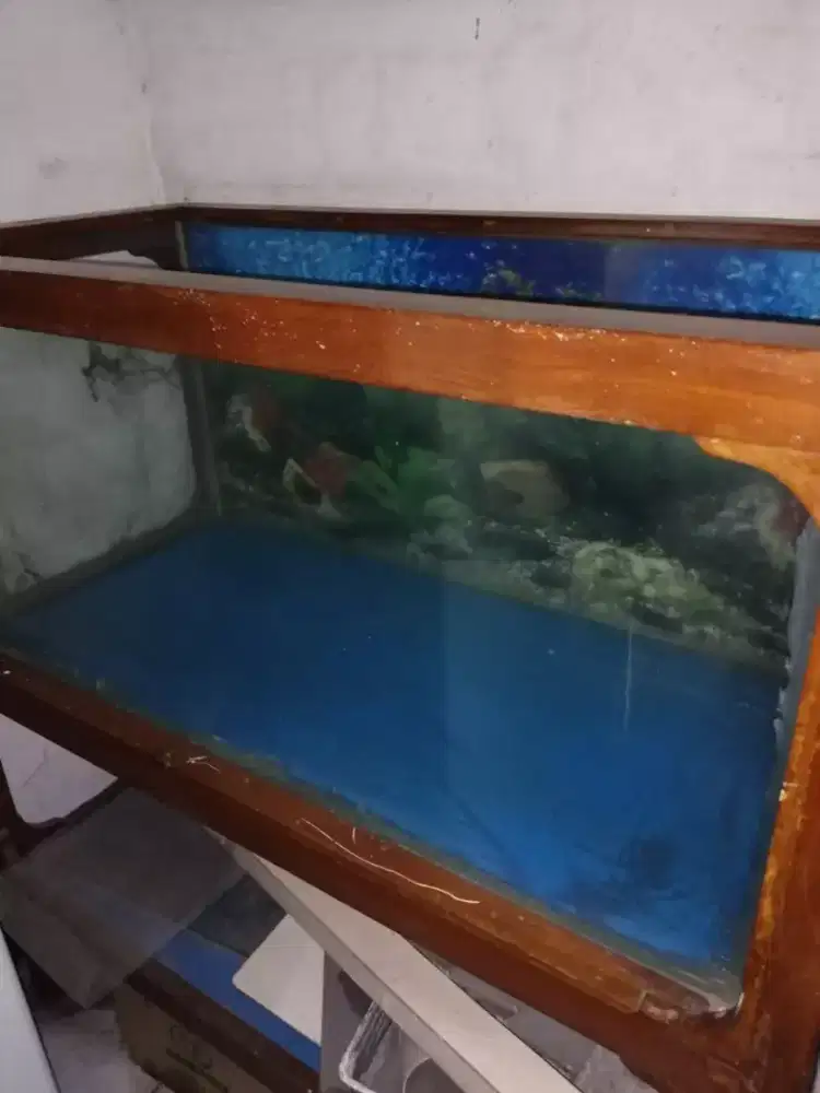 Aquarium 2 tingkat Kaca Tebal - Karawaci