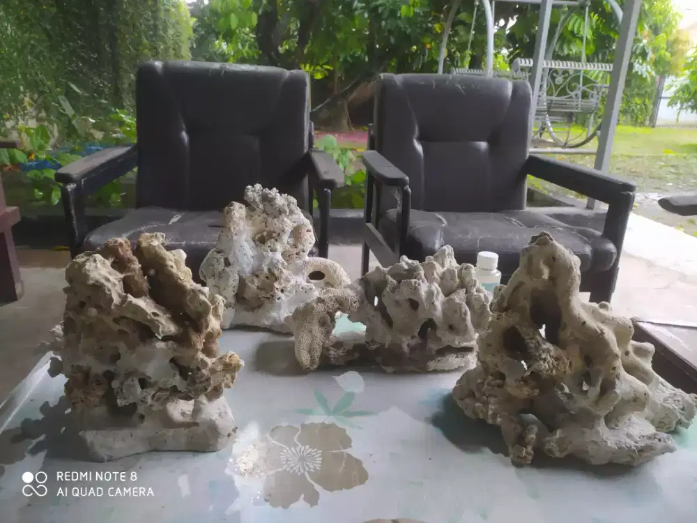 BATU KARANG BONSAI ASLI