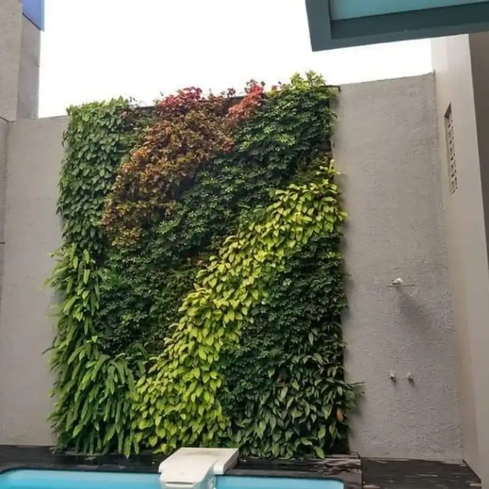 Jasa pembuatan Taman Vertikal Garden/Taman Vertikal