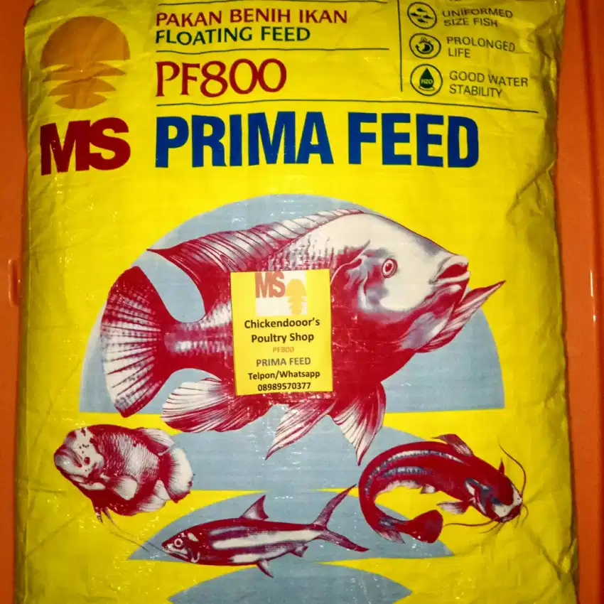 PF 800 PF800 pelet pellet ikan pakan benih bibit lele gurame nila 10kg