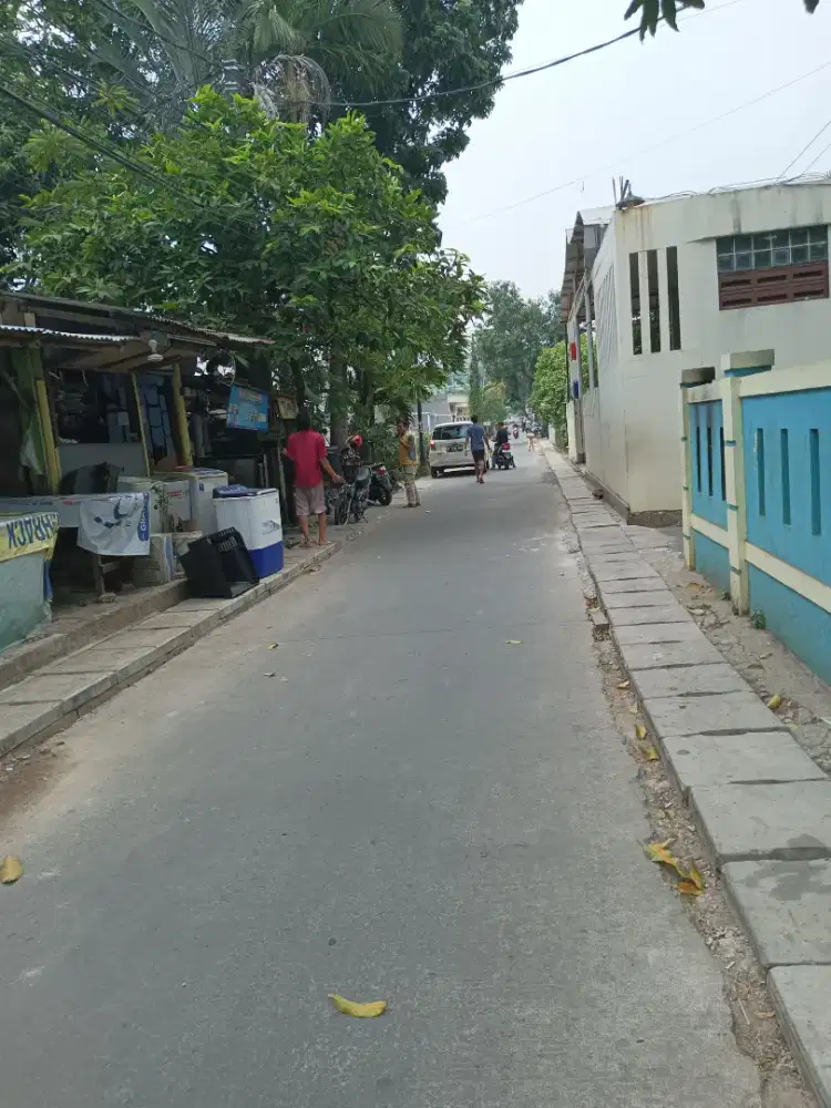 HOT SALE rmh murah samping ALAM SUTERA