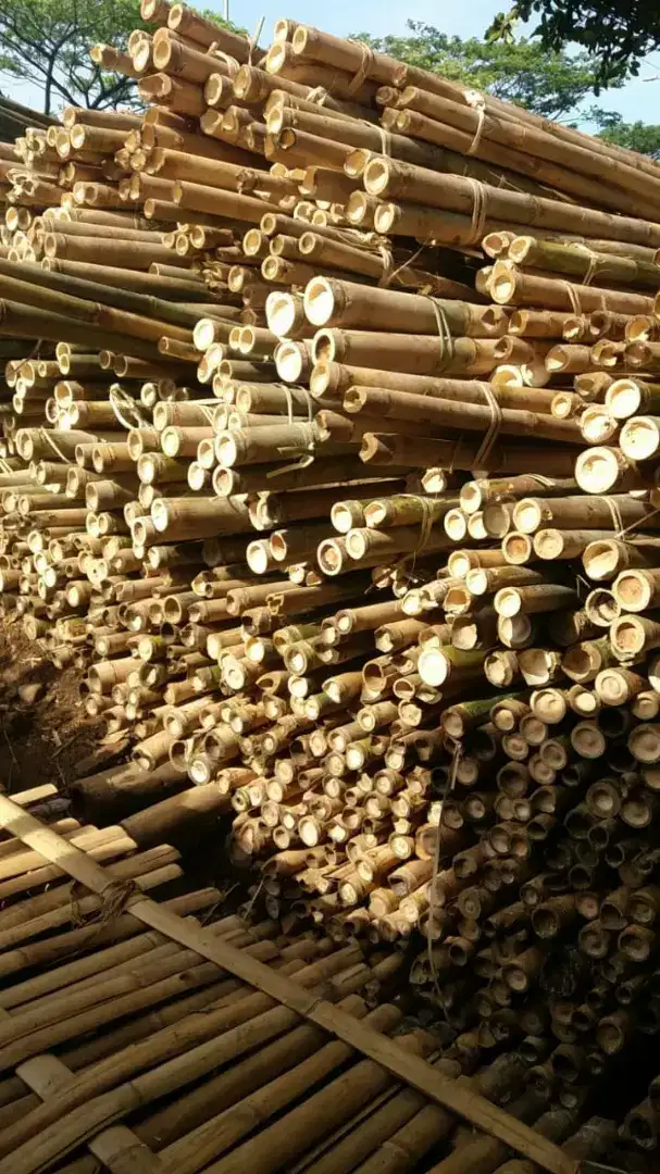 Jual bambu kayu papan,kaso2 mandiri jaya01