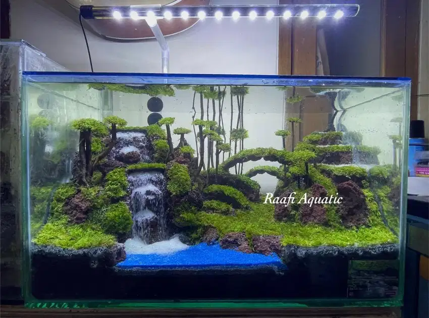 Aquascape best seller 2022