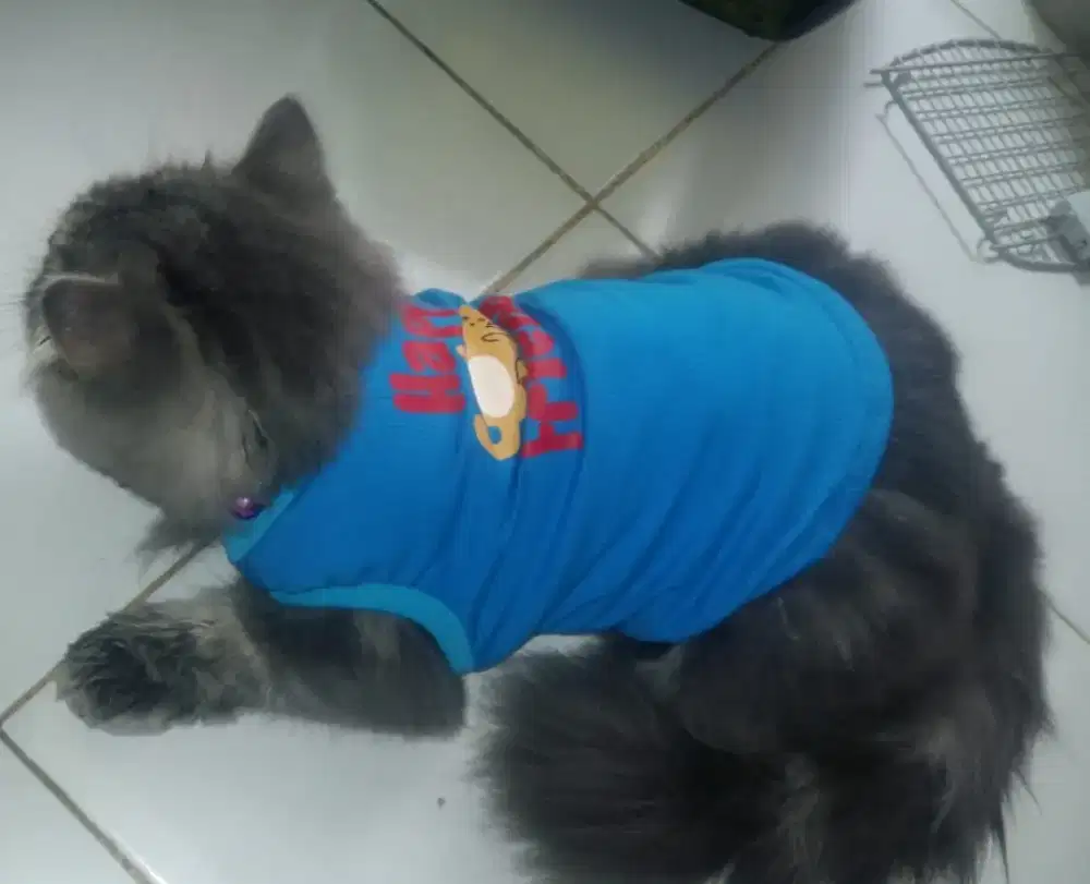 Baju kucing happy frend