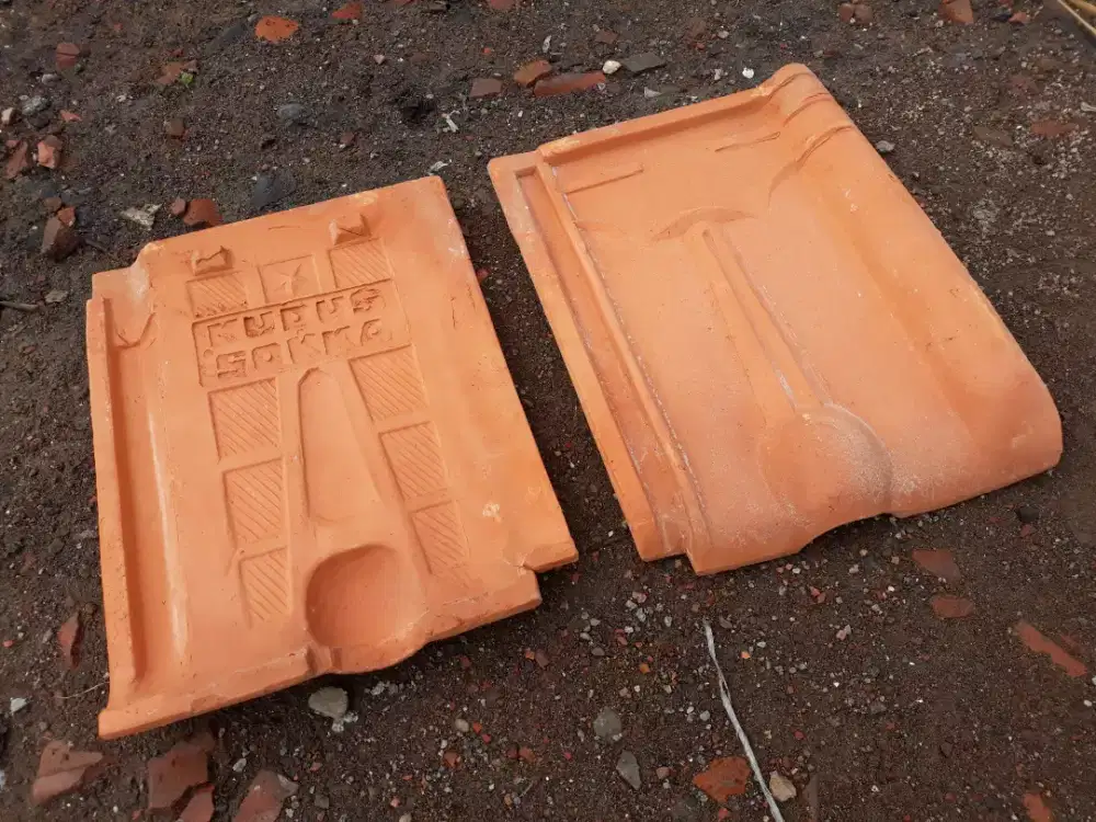 Genteng Kodok baru matang ready