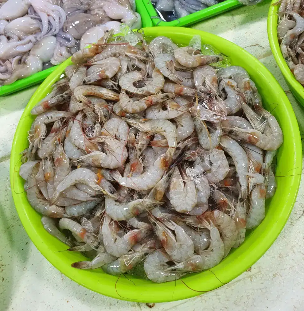 Terlaris Udang Laut Fresh Bisa Kirim Keseluruh Indonesia