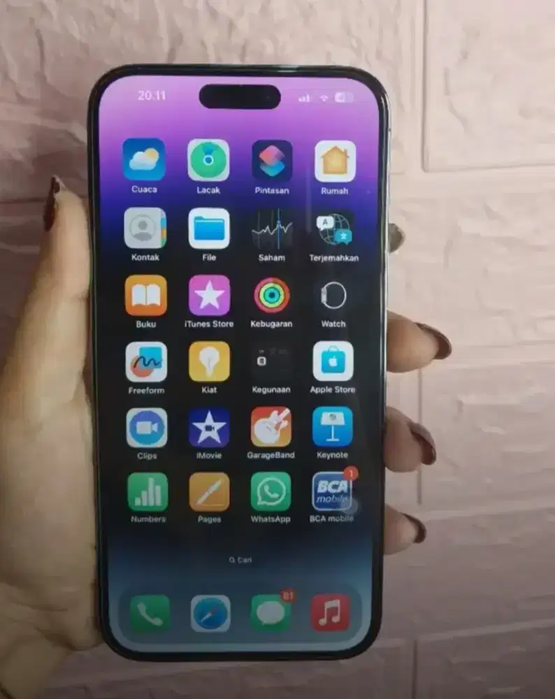 Aiphone 14 promax 256