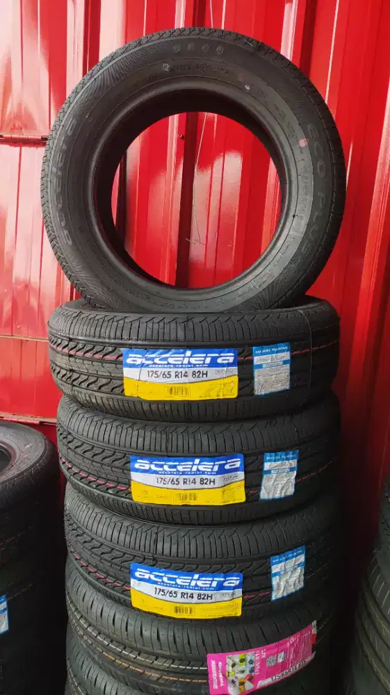 Ban accelera ecoplush 175 65 14