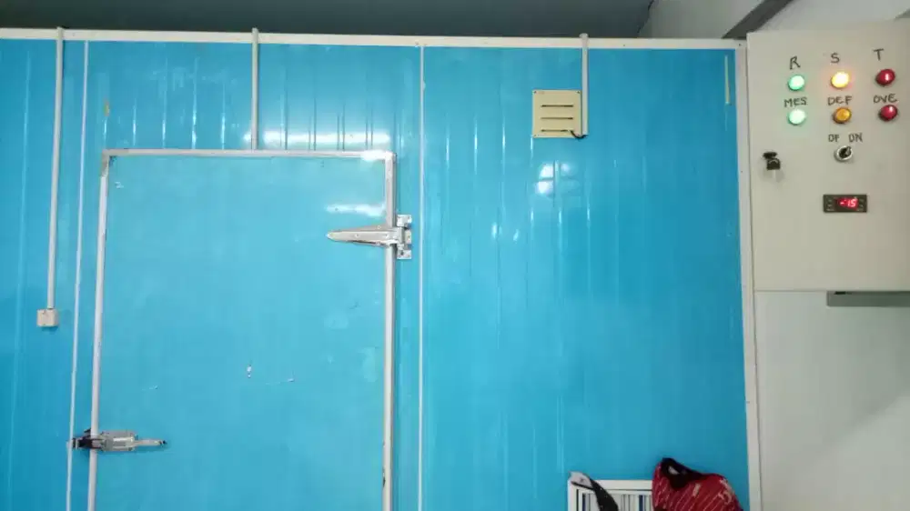 Cold storage freezer