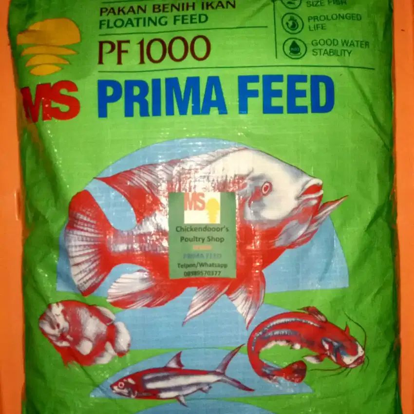 PF 1000 PF1000 pelet ikan pakan benih bibit lele gurame nila 10kg